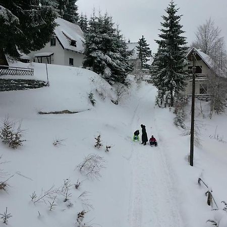 Vila Leni Kopaonik Ngoại thất bức ảnh