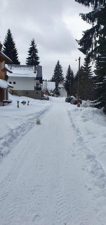 Vila Leni Kopaonik Ngoại thất bức ảnh