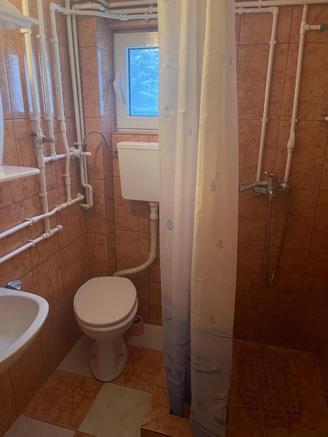 Vila Leni Kopaonik Ngoại thất bức ảnh