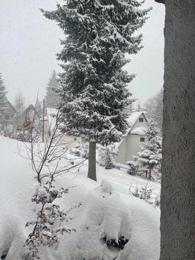 Vila Leni Kopaonik Ngoại thất bức ảnh