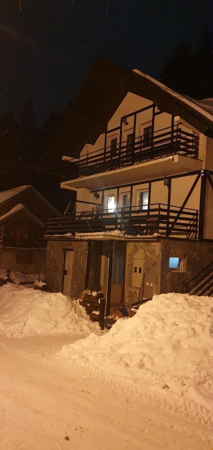 Vila Leni Kopaonik Ngoại thất bức ảnh