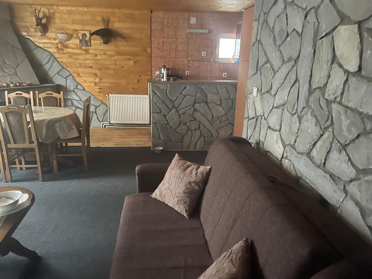Vila Leni Kopaonik Ngoại thất bức ảnh