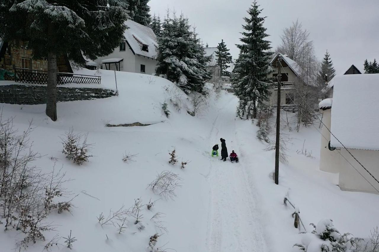 Vila Leni Kopaonik Ngoại thất bức ảnh